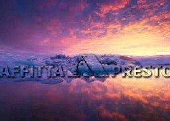 Terreno agricolo Fauglia - foto 8