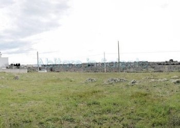 Terreno - Terreno edificabile via Tommaso Campanella, Salve - foto 4