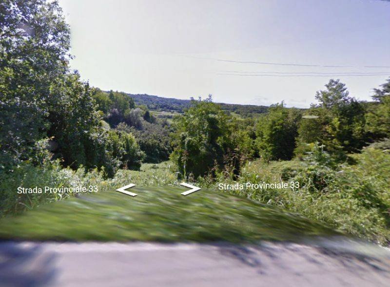 ambiente - Terreno agricolo Località Bagnasco, Montafia - foto 2