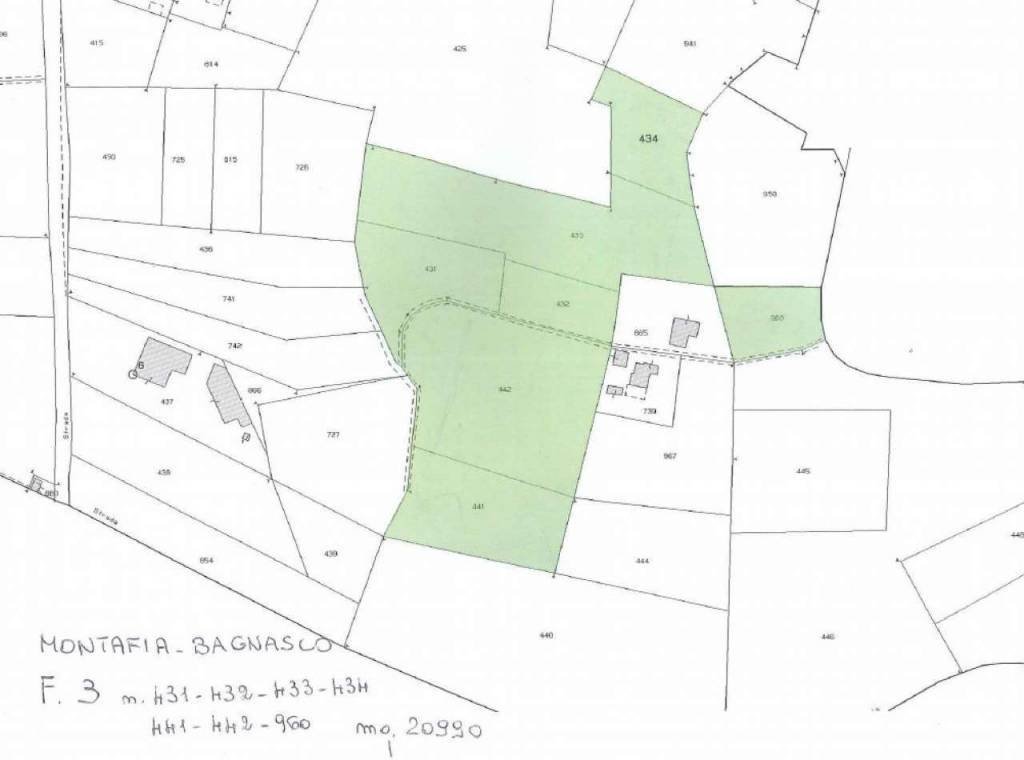 mappa - Terreno agricolo Località Bagnasco, Montafia - planimetria 1