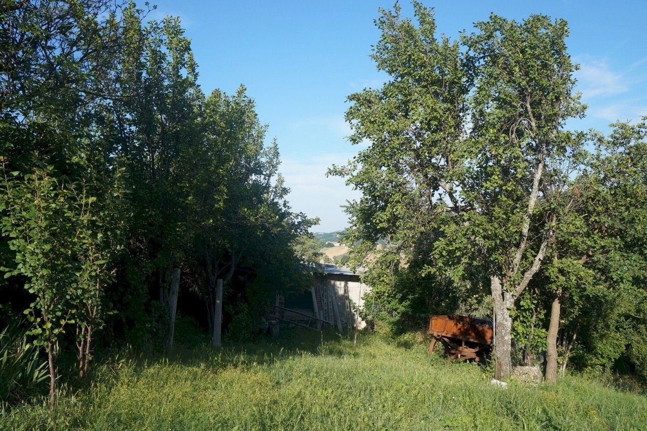 Giardino - Independent house Case Appurano, Arcevia - photo 2