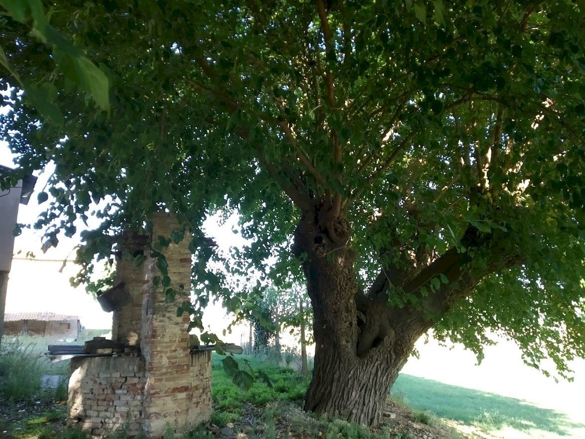 IMG_20210921_164318.jpg - Casa indipendente Via Luconi 16, Jesi - foto 1