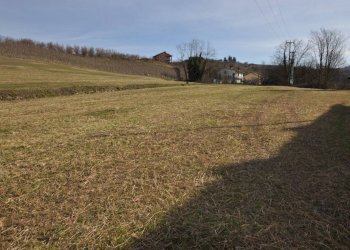 Rustic Dogliani, Dogliani - photo 6