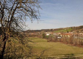 Rustic Dogliani, Dogliani - photo 7