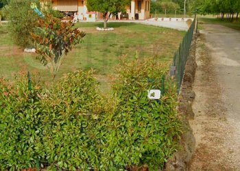 Villa Unifamiliare Via Campo Cavaliere, Castrocielo - foto 16