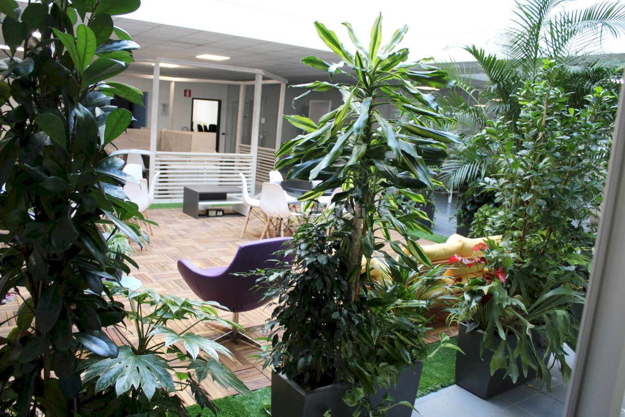 IMG_3267.JPG - Ufficio Via Sebastian Altmann 9, Bolzano - foto 3