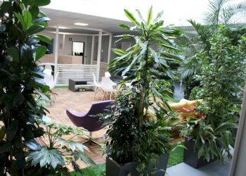 IMG_3267.JPG - Ufficio Via Sebastian Altmann 9, Bolzano - foto 3