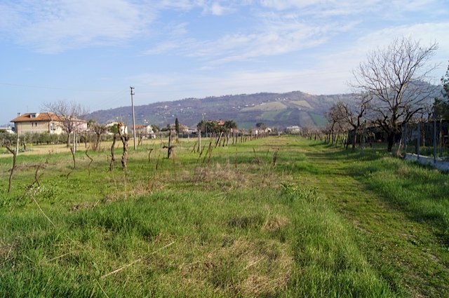 Building land Via Ottantatreesima Strada, Monteprandone - photo 1