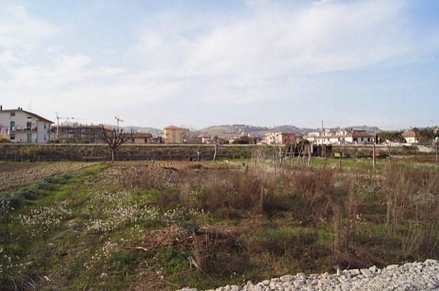 Building land Via Ottantatreesima Strada, Monteprandone - photo 3
