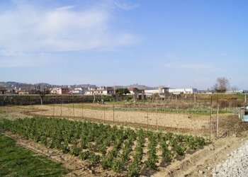 Terreno edificabile Via Ottantatreesima Strada, Monteprandone - foto 2