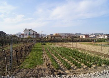 Terreno edificabile Via Ottantatreesima Strada, Monteprandone - foto 4