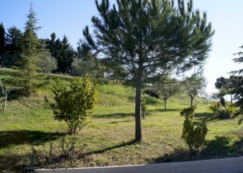 Villa Unifamiliare Via Colle Appeso, Monteprandone - foto 16