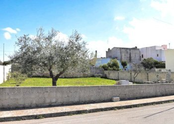 Terreno edificabile Castrignano del Capo - foto 8