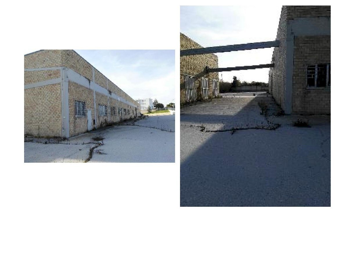 capn giulianova-2 (1).jpg - Capannone Giulianova - foto 3