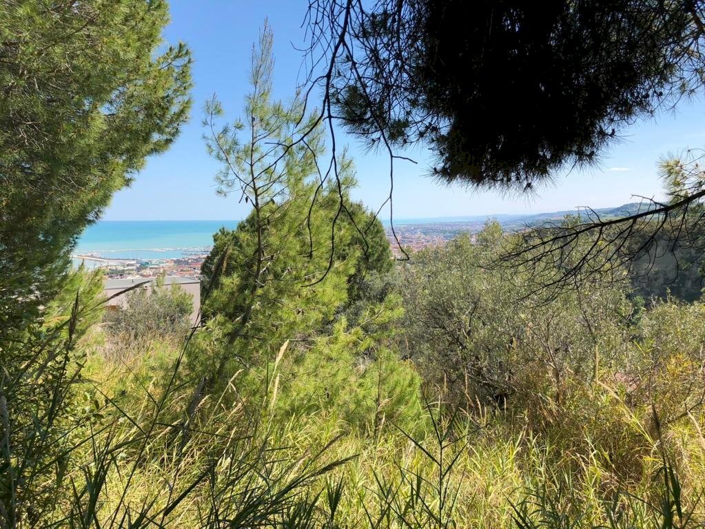 04 GROTTAMMARE - TERRENO EDIFICABILE VISTA MARE.jp - Terreno edificabile Grottammare - foto 1