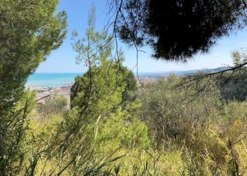 04 GROTTAMMARE - TERRENO EDIFICABILE VISTA MARE.jp - Terreno edificabile Grottammare - foto 1