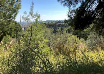 06 GROTTAMMARE - TERRENO EDIFICABILE VISTA MARE.jp - Terreno edificabile Grottammare - foto 6