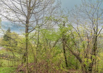 Rustico Borgata San Maurizio, Snc, Frassino - foto 23