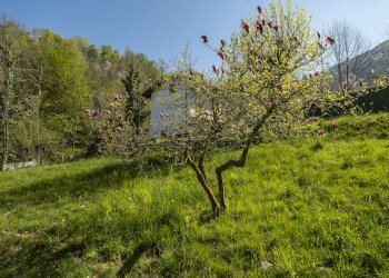Casa indipendente Via Madonna della Rocca, 17, Barge - foto 12