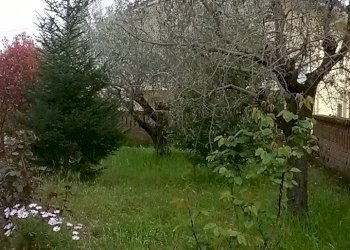 Campli villa in vendita (4).jpg - Villa Campli - photo 27