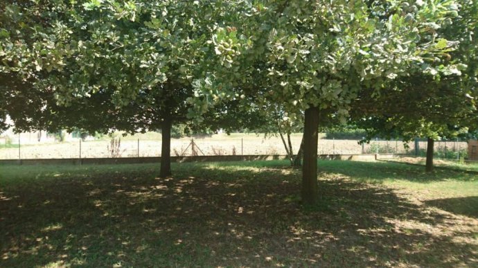 Casa indipendente Mordano - foto 1