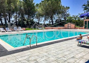 piscina e solarium - Casale Località San Marco, Rosignano Marittimo - foto 16