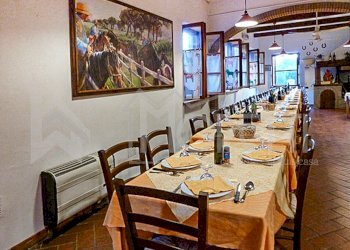 sala da pranzo ristorazione - Casale Località San Marco, Rosignano Marittimo - foto 24