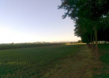 Rustico Castel San Pietro Terme - foto 1