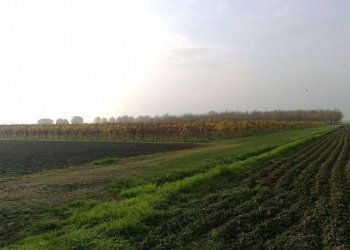 Rustico Castel San Pietro Terme - foto 3