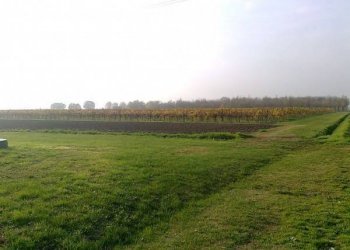 Rustico Castel San Pietro Terme - foto 4