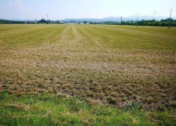 Rustico Castel San Pietro Terme - foto 5