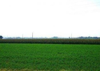 Rustico Castel San Pietro Terme - foto 6