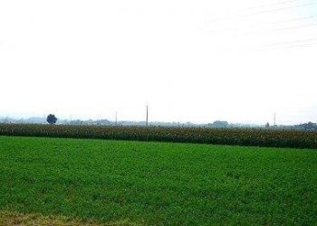 Rustico Castel San Pietro Terme - foto 7