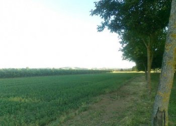 Rustico Castel San Pietro Terme - foto 12