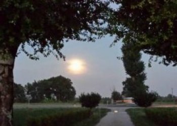 Rustico Castel San Pietro Terme - foto 14