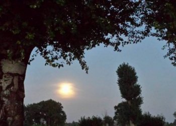 Rustico Castel San Pietro Terme - foto 15