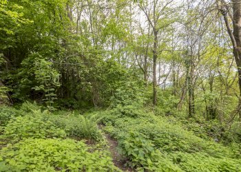 Rustico Borgata Ballou, 4, Isasca - foto 22