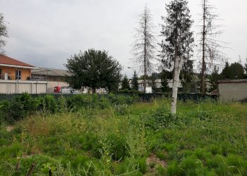 terreno - Terreno artigianale - terziario Regione Zolfo, Montafia - foto 6