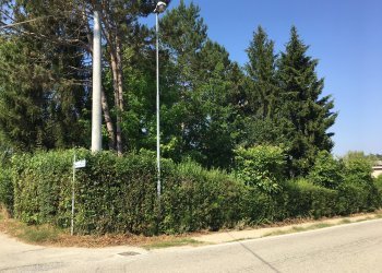 terreno - Terreno artigianale - terziario Regione Zolfo, Montafia - foto 8