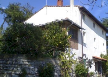 04042008377.jpg - Rustico Via Vecchia di Nozzano, Lucca - foto 3