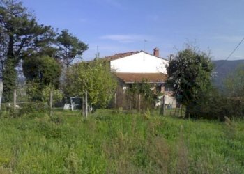 2120_2.jpg - Rustico Via Vecchia di Nozzano, Lucca - foto 5