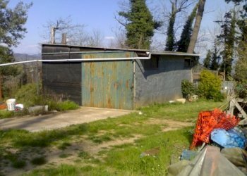 04042008381.jpg - Rustico Via Vecchia di Nozzano, Lucca - foto 16