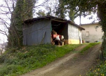 04042008382.jpg - Rustico Via Vecchia di Nozzano, Lucca - foto 17