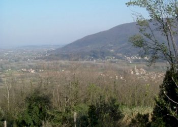 DSCF0158.JPG - Rustico Via Vecchia di Nozzano, Lucca - foto 25