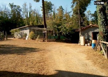 GaragiDietro.jpg - Rustico Via Vecchia di Nozzano, Lucca - foto 29