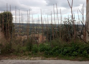 IMG_4045.JPG - Terreno edificabile Canicattini Bagni - foto 1