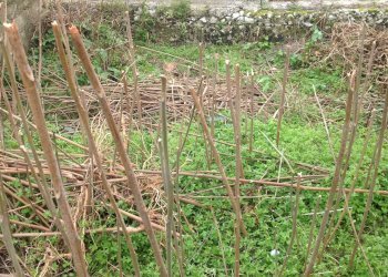 IMG_4039.JPG - Terreno edificabile Canicattini Bagni - foto 3