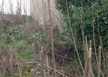 IMG_4044.JPG - Terreno edificabile Canicattini Bagni - foto 4