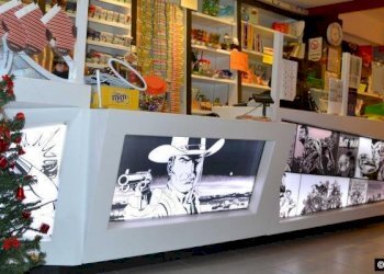 98_1475662357-3 MOD.JPG_large.jpg - Edicole - Edicole con Chiosco Via santa croce 109, Lucca - foto 8