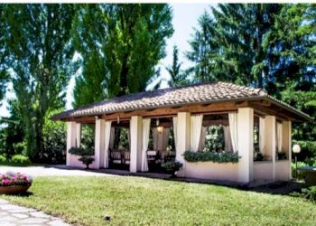 Giardino - Attività Commerciale corso Duca degli Abruzzi, 27, Torino (zona Centro) - foto 37